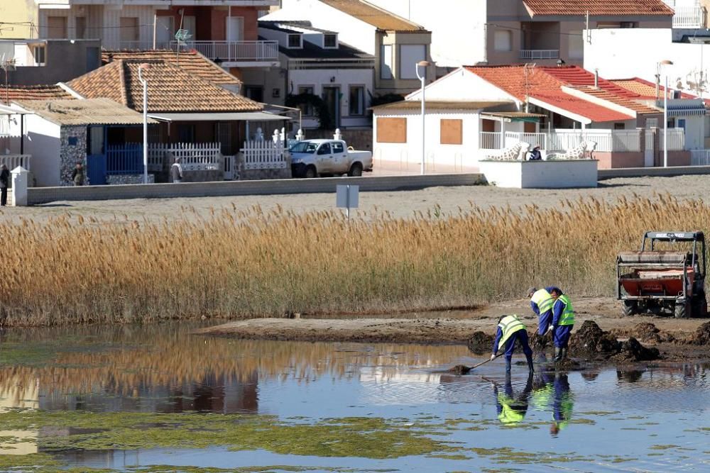 Así trabaja la brigada de limpieza en el Mar Menor