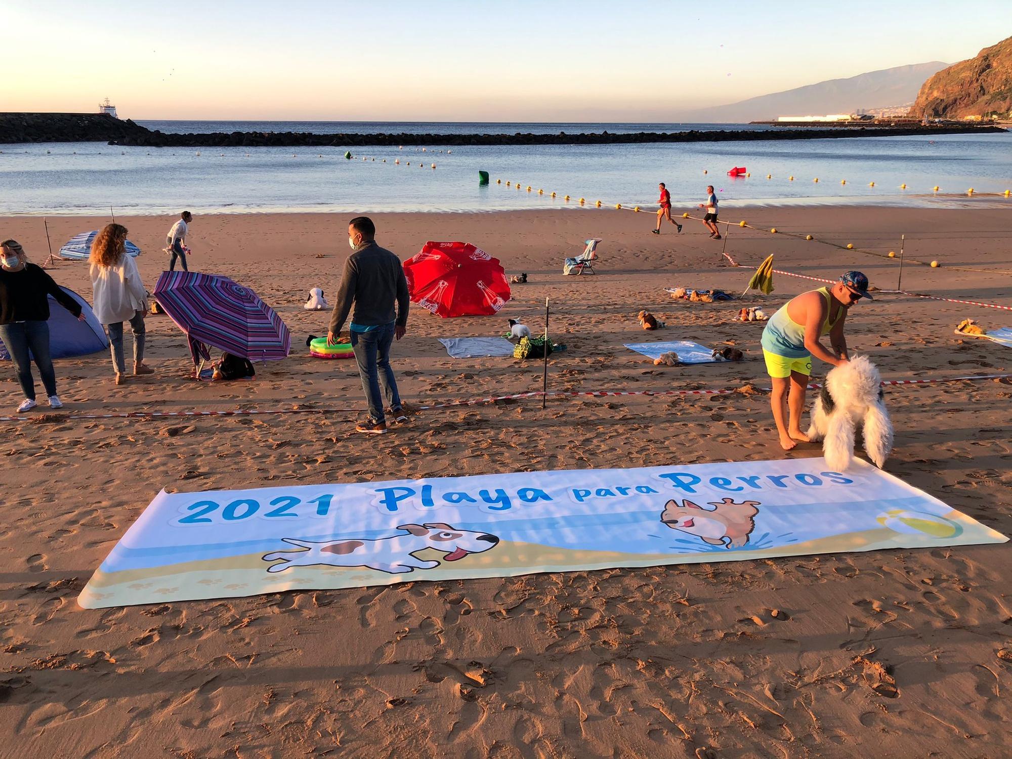 Acción pacífica en la playa de Las Teresitas en demanda de una zona para mascotas