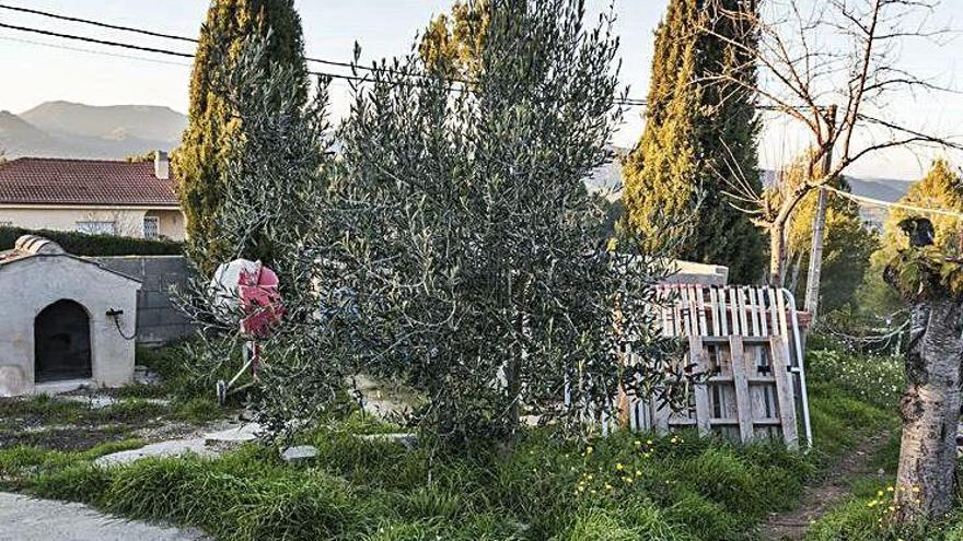 Jardí de la casa on es va trobar el cadàver de la jove