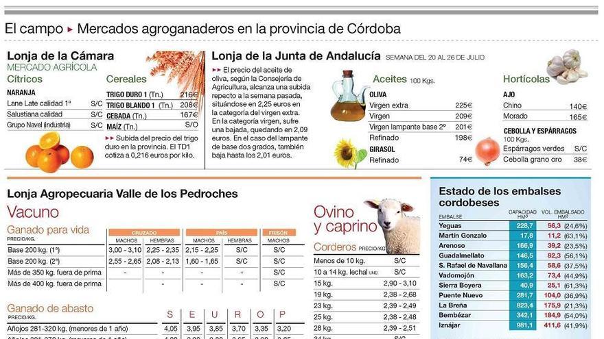 Control de malas hierbas en los cítricos