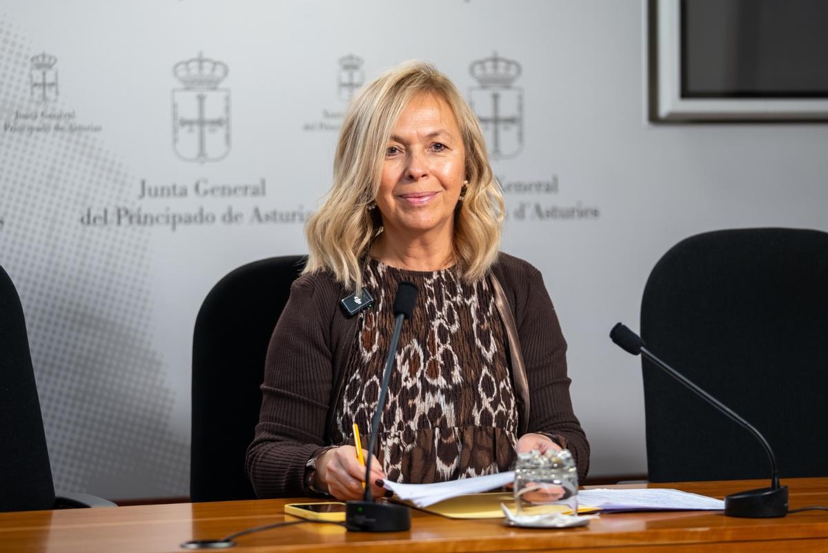 Sara Álvarez Rouco durante la rueda de prensa de este jueves.