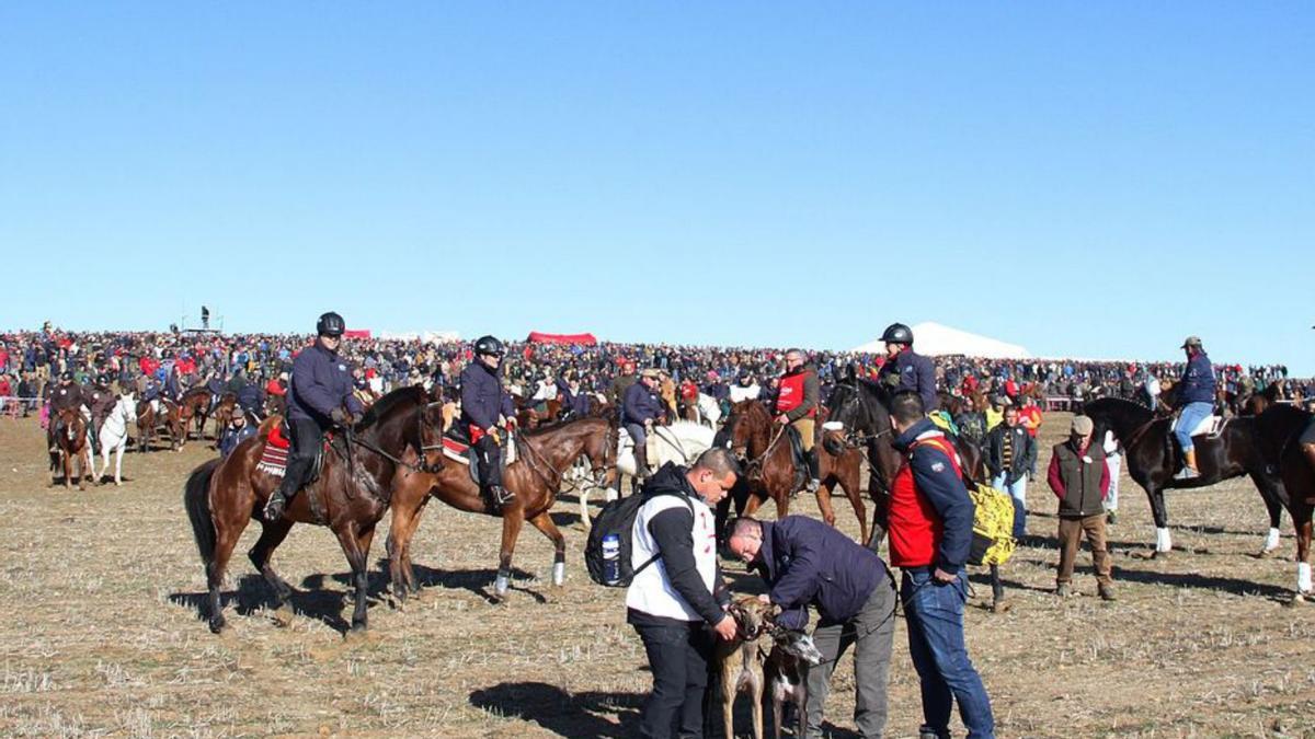 El Nacional no para de crecer en participación. | LOZ