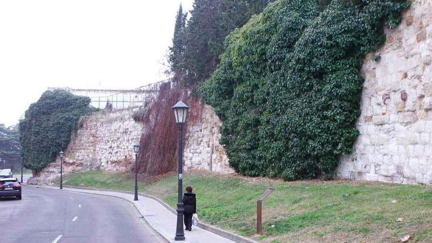 Tramos de la muralla recubiertos por hiedra en la Ronda del Degolladero.