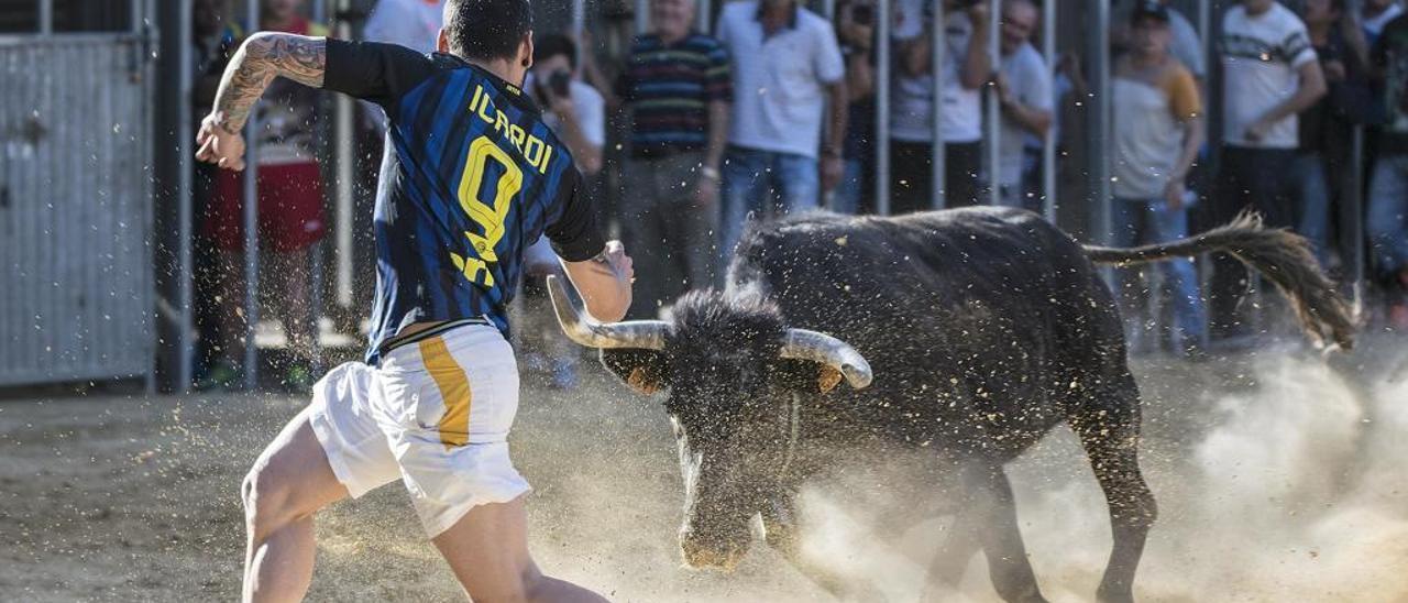 Los recortadores se disputan el liderazgo en Benejúzar