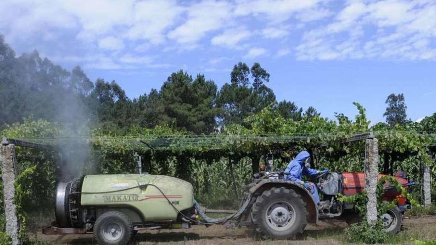 Foto de archivo de un viticultor dando sulfato con su tractor. // Noé Parga