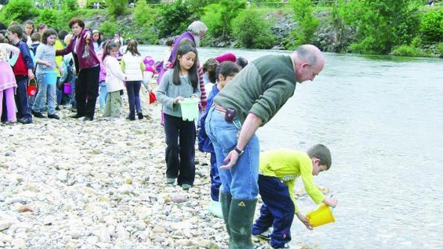 Alumnos del Colegio de Arriondas sueltan alevines de trucha en el río Sella