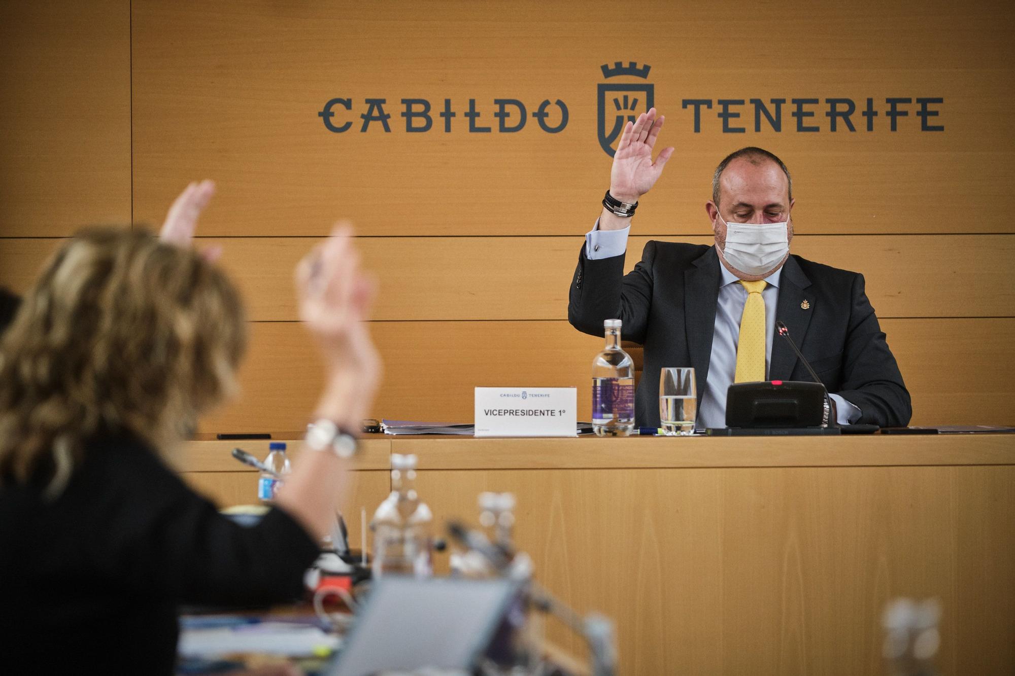 Pleno Extraordinario del Cabildo de Tenerife