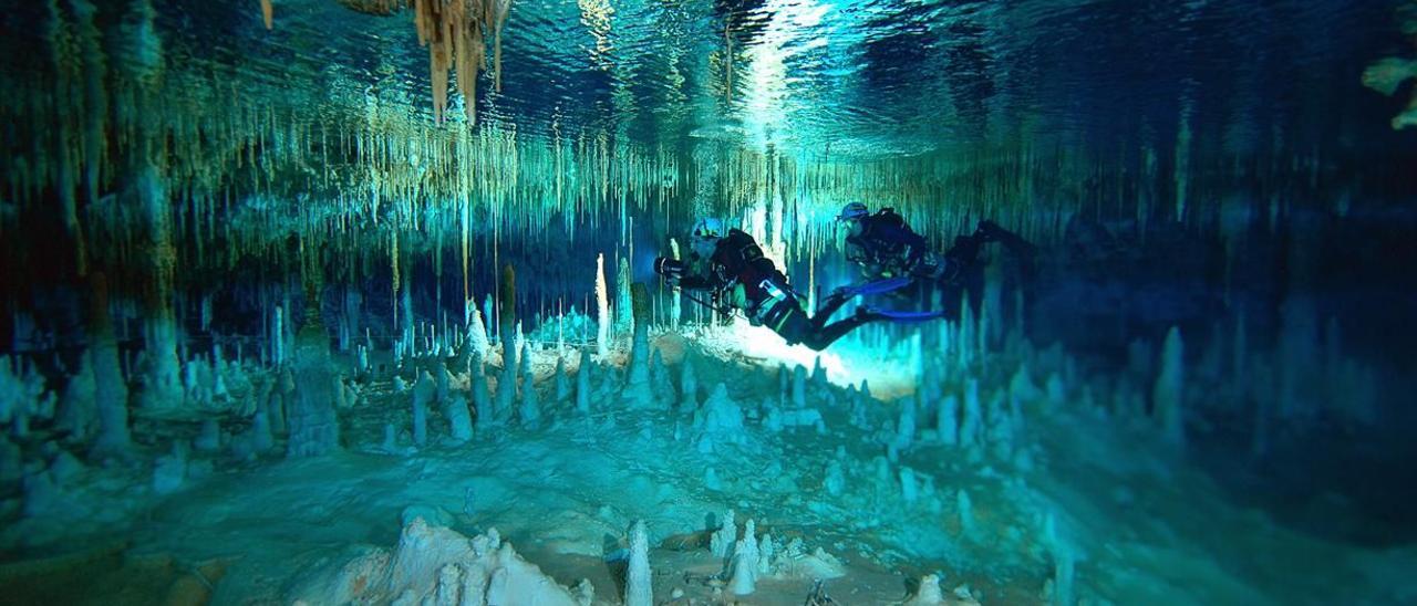 Impresionante imagen subacuática de la cueva del Pas de Vallgornera, en Llucmajor.