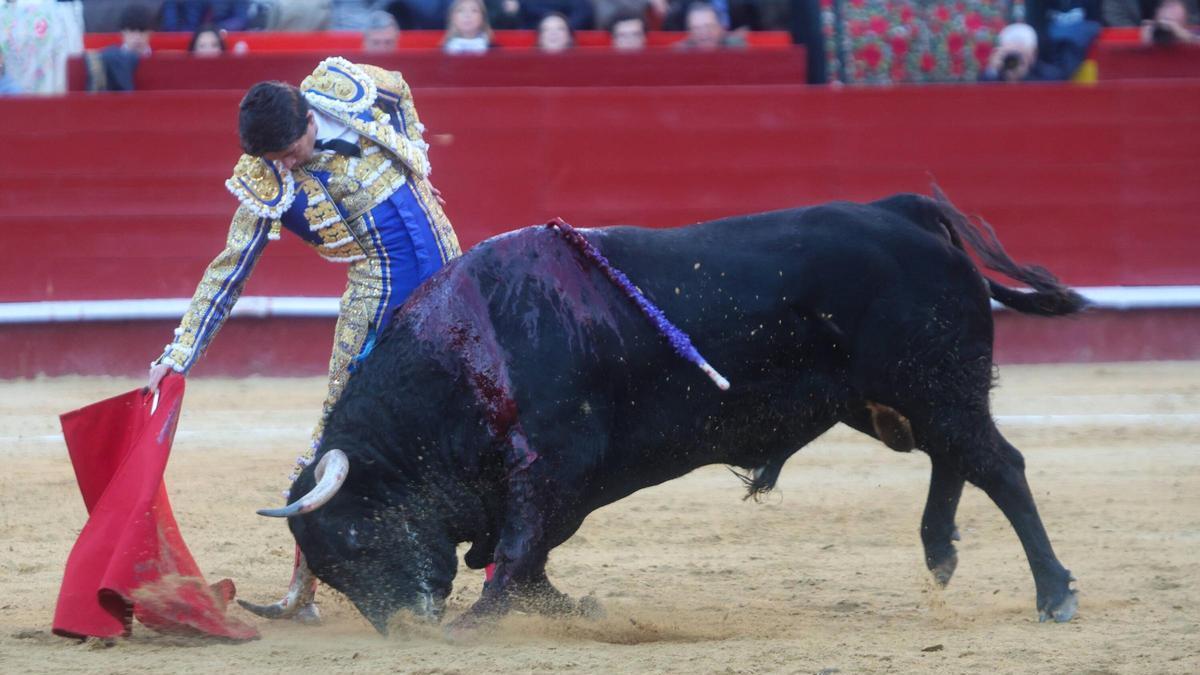 Así era la embestida de 'Artista', la bravura consumada de Jandilla