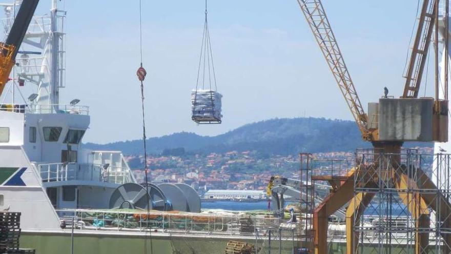 Descarga de calamar congelado en una terminal frigorífica de Vigo en 2014. // FdV