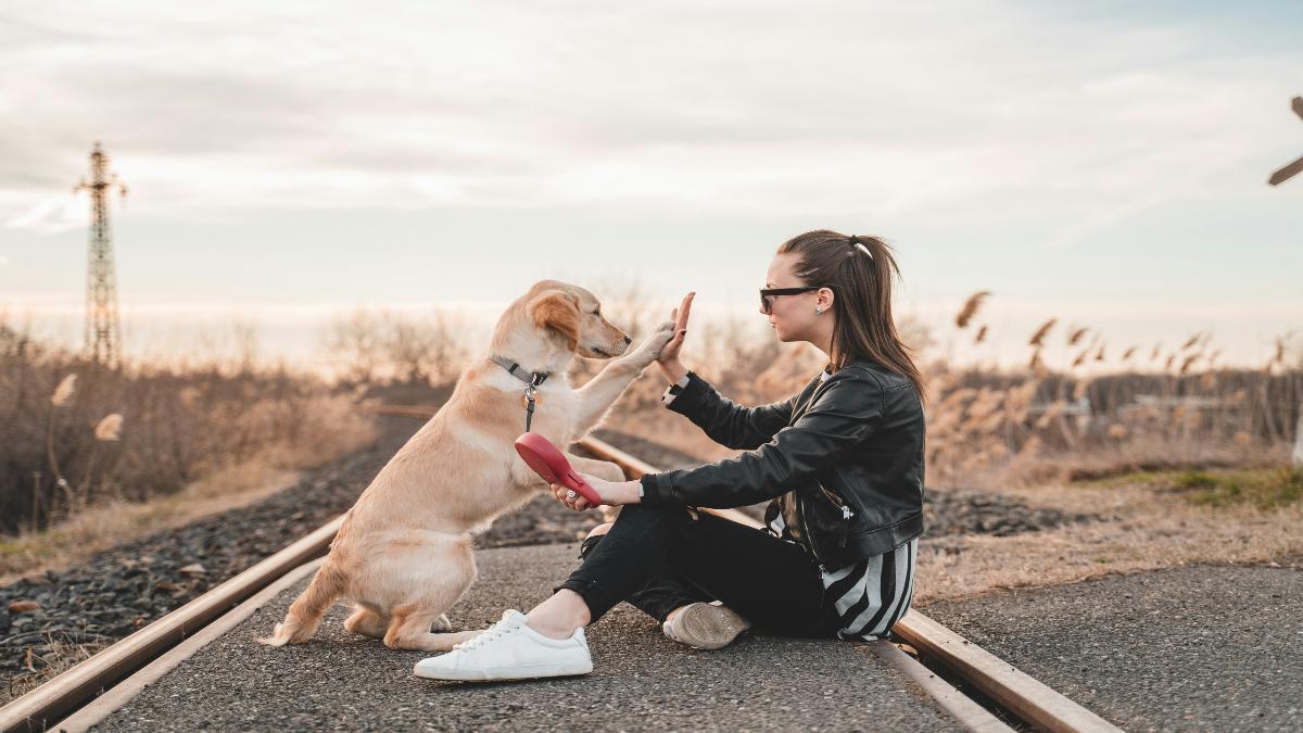 ¿Sabes cómo saludar a un perro? Aprende la forma correcta de acercarte para evitar problemas