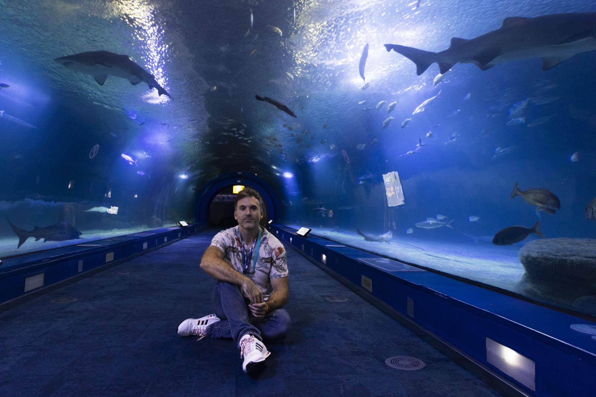 El Oceanogràfic acoge el congreso internacional por la conservación de los tiburones