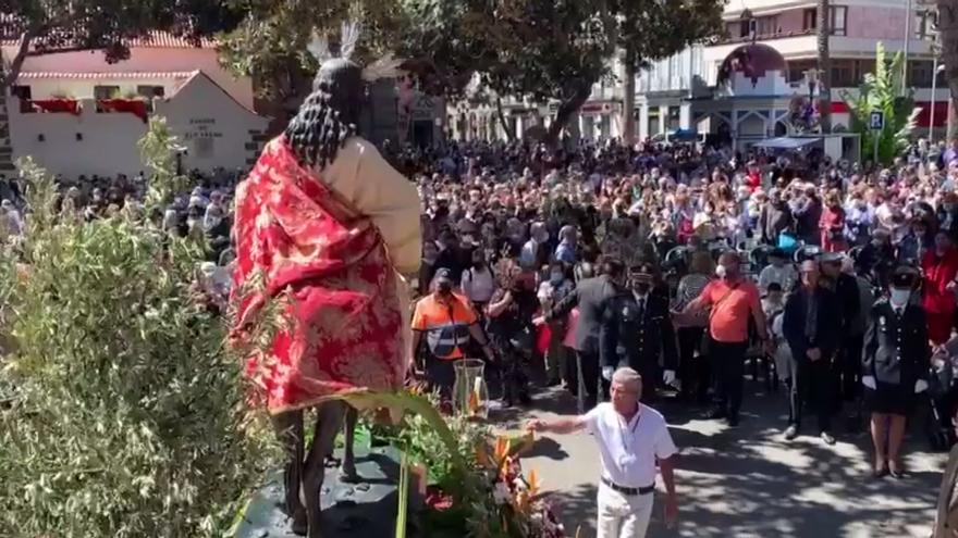 El olivo, dueño del Domingo de Ramos