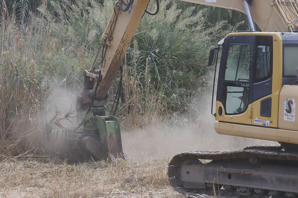 Comienzan los trabajos de limpieza de los Sotos de la Albolafia