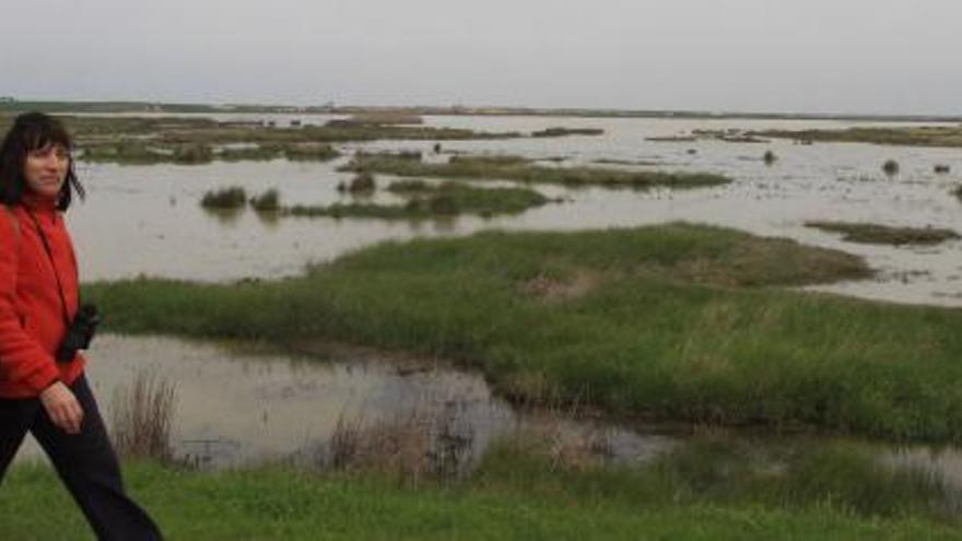 Las lluvias colman de agua las Lagunas de Villafáfila y auguran una explosión de crías