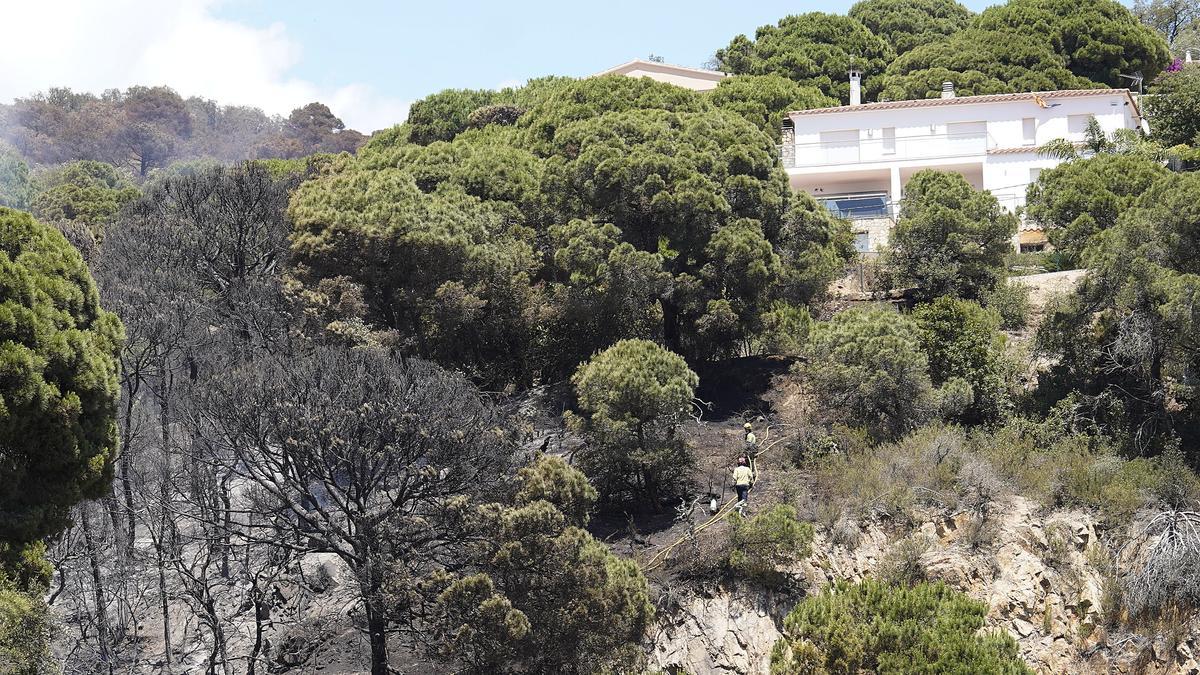 Incendi entre Lloret i Tossa