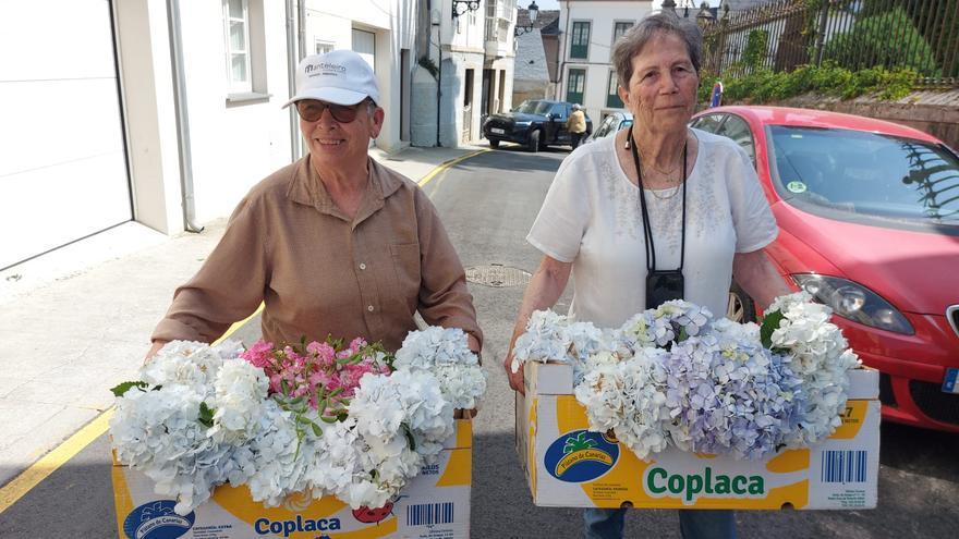 Castropol es un mar de flores: así se preparan los vecinos para la especial fiesta del Corpus Christi