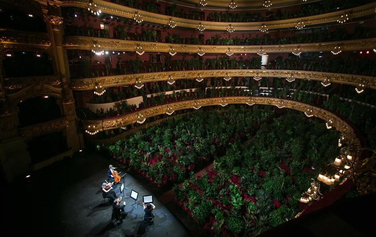 Concierto en el Gran Teatre del Liceu, el 22 de junio del 2020, con más de 2.000 plantas como únicos espectadores, tras la finalización del estado de alarma por la epidemia del coronavirus. Las plantas utilizadas en la creación artística fueron donadas a los sanitarios del Hospital Clínic de Barcelona.