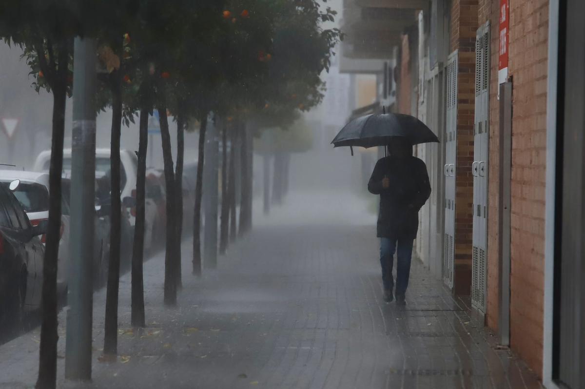 Una persona camina bajo la lluvia, esta mañana en Córdoba, protegida por un paraguas.