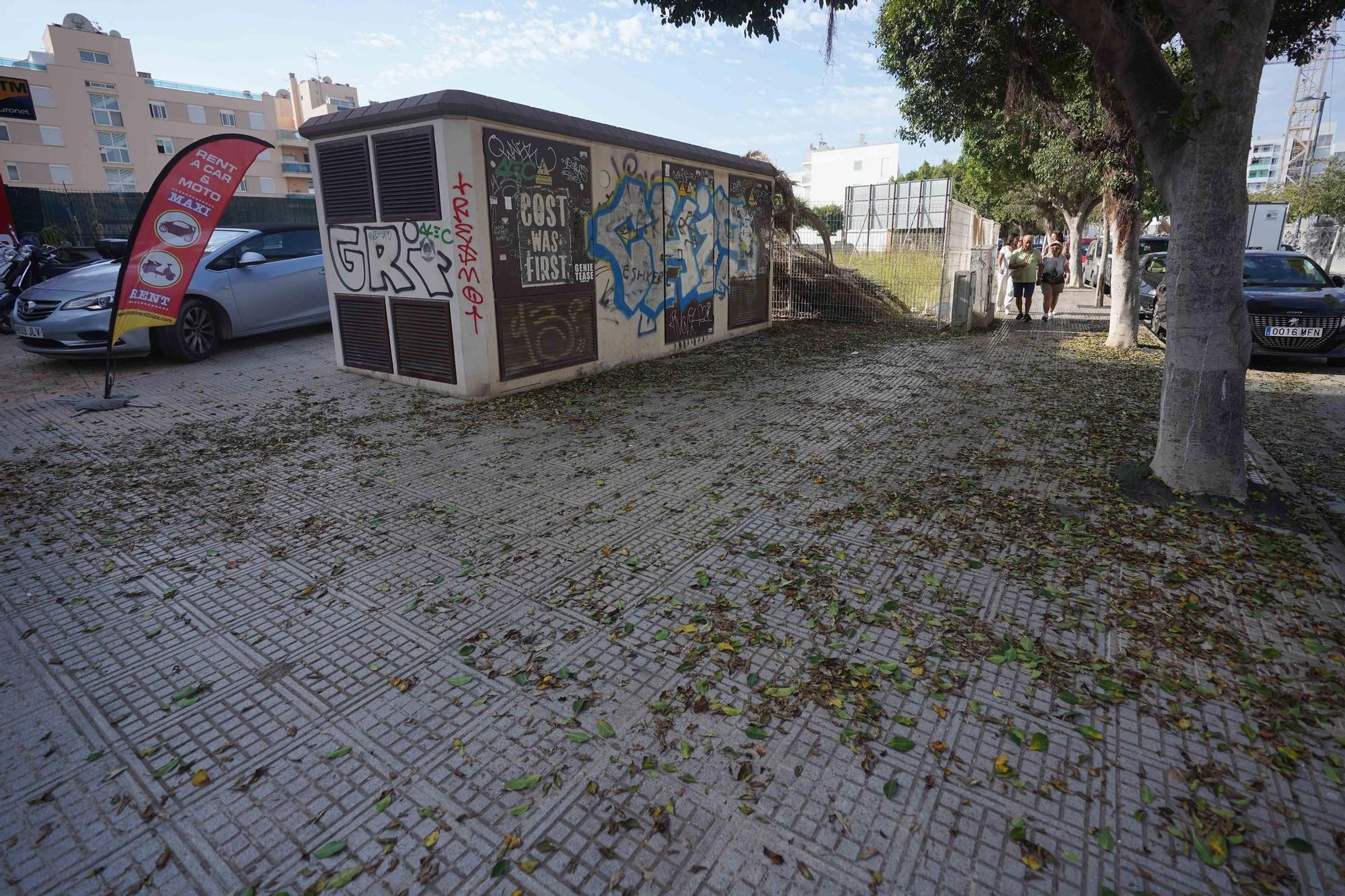 Galería: Este es el estado del barrio de Platja d'en Bossa