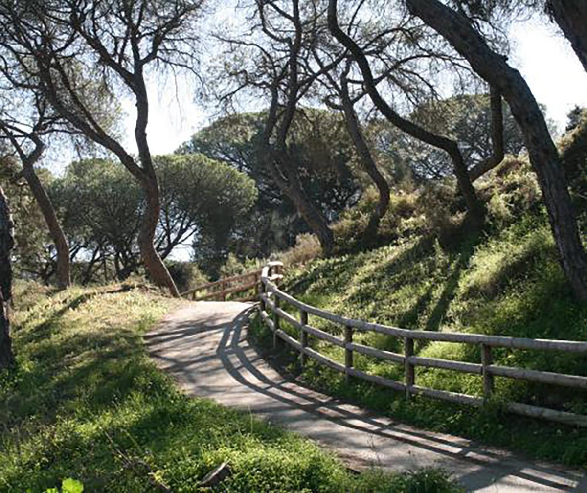 Sendero de los Enebrales (Punta Umbría).