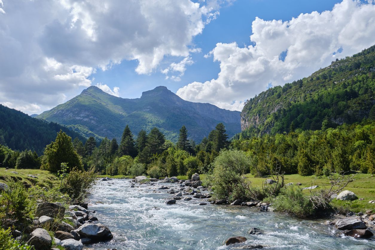 Valle de Bujaruelo con el río Ara a su paso por el Pirineo Aragonés, Parque Nacional de Ordesa y Monte Perdido, Pirineos, Huesca, España.