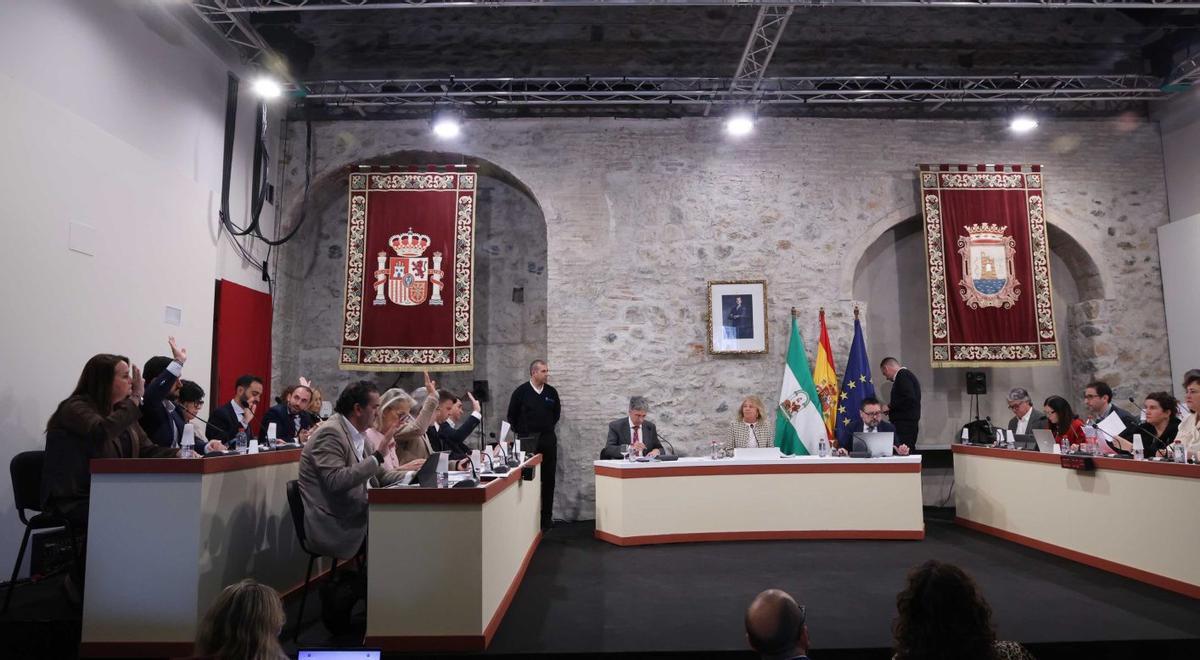 Momento del pleno de marzo, celebrado este viernes en el centro cultural Trapiche de Guadaiza, en San Pedro