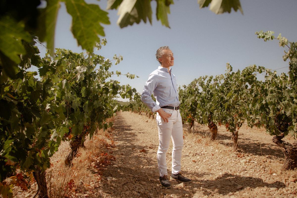 Miguel Ángel Gayubo, presidente de Rutas del Vino, posa en uno de los viñedos de Aranda de Duero. 