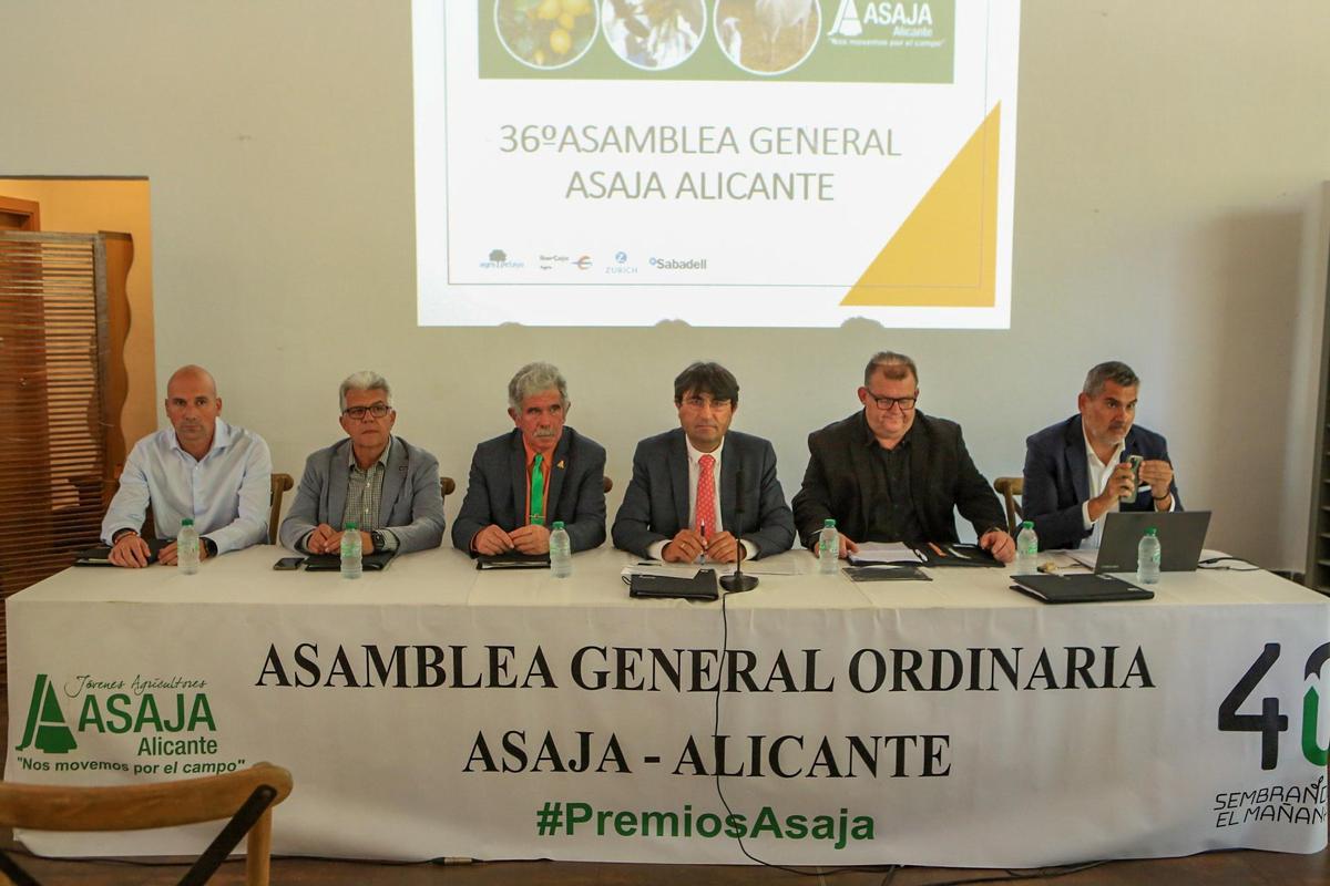 La asamblea anual hizo un repaso sobre los hitos y actividades de la entidad durante el pasado ejercicio.