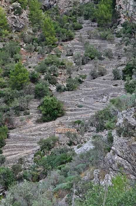 Versteckte Baracken, fast vergessene Geschichten und ganz viel Plackerei: Der Barranc de Biniaraix bei Sóller ist viel mehr als idyllische Wander-Kulisse