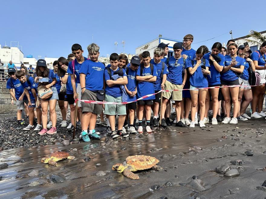 200 personas participan en una limpieza de la playa de Agaete organizada por Fred. Olsen Express