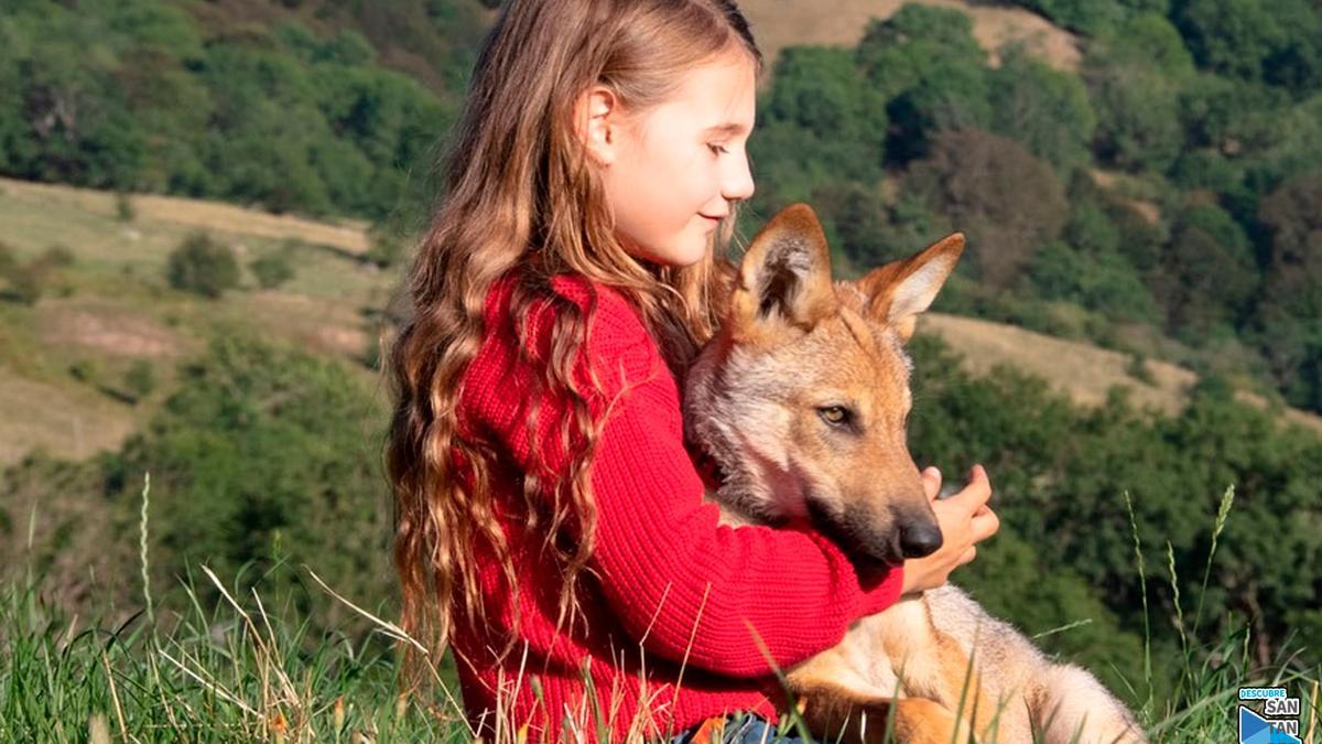 Fotograma de &quot;El secreto de Vicky&quot;