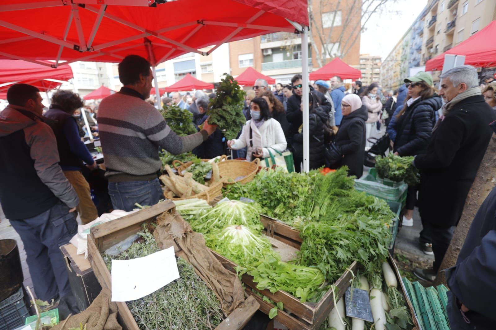 Mercado de proximidad en Patraix