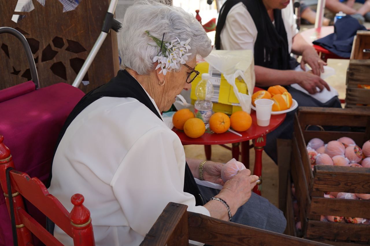 Las imágenes del Día de la Naranja de Coín 2022