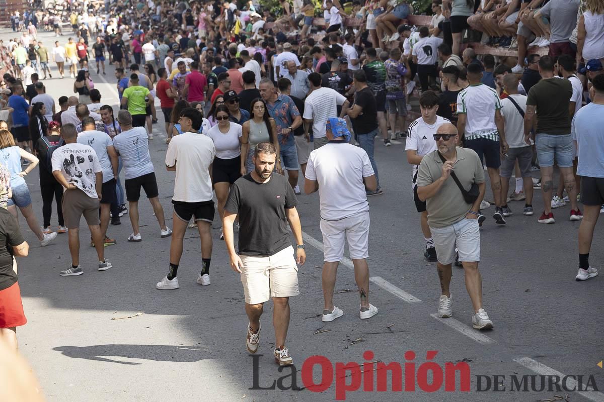 El segundo encierro de las Fiestas de Moratalla se salda con un herido