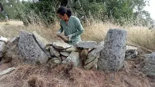 El resurgir de las paredes sayaguesas