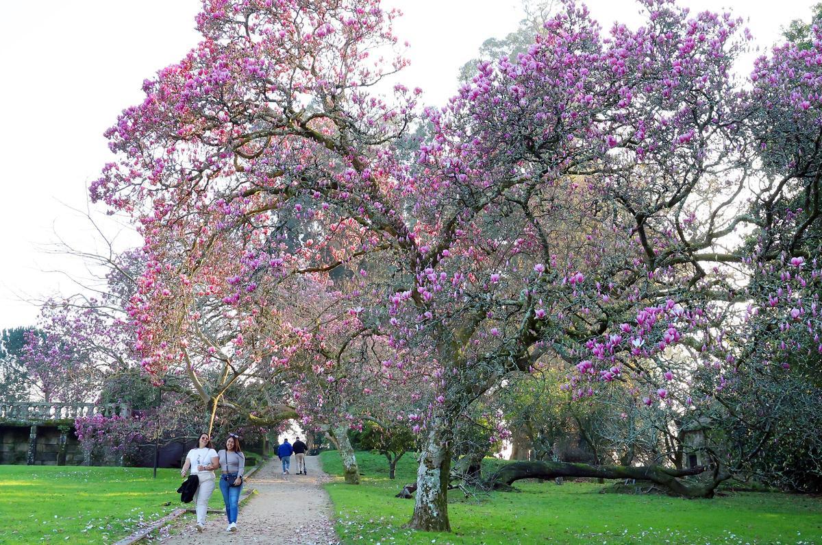 El mayor espectáculo del invierno florece en Castrelos