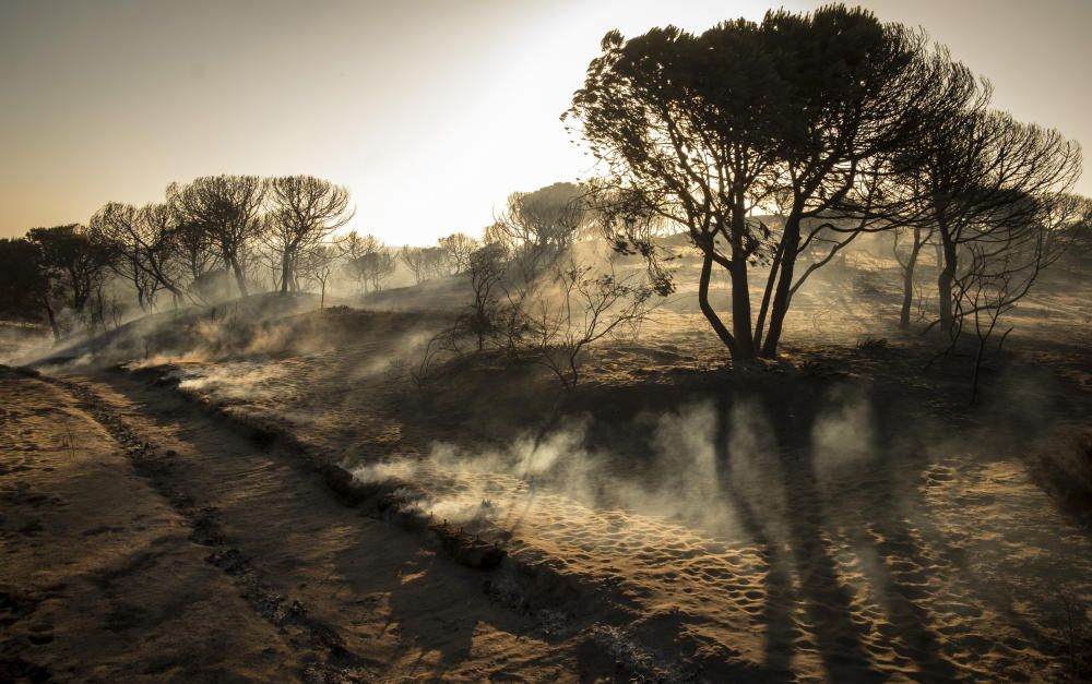 Incendio en Huelva