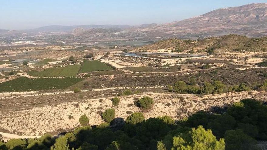 Vecinos de Monforte y Agost presentan más de 700 firmas en apoyo a la instalación de plantas solares