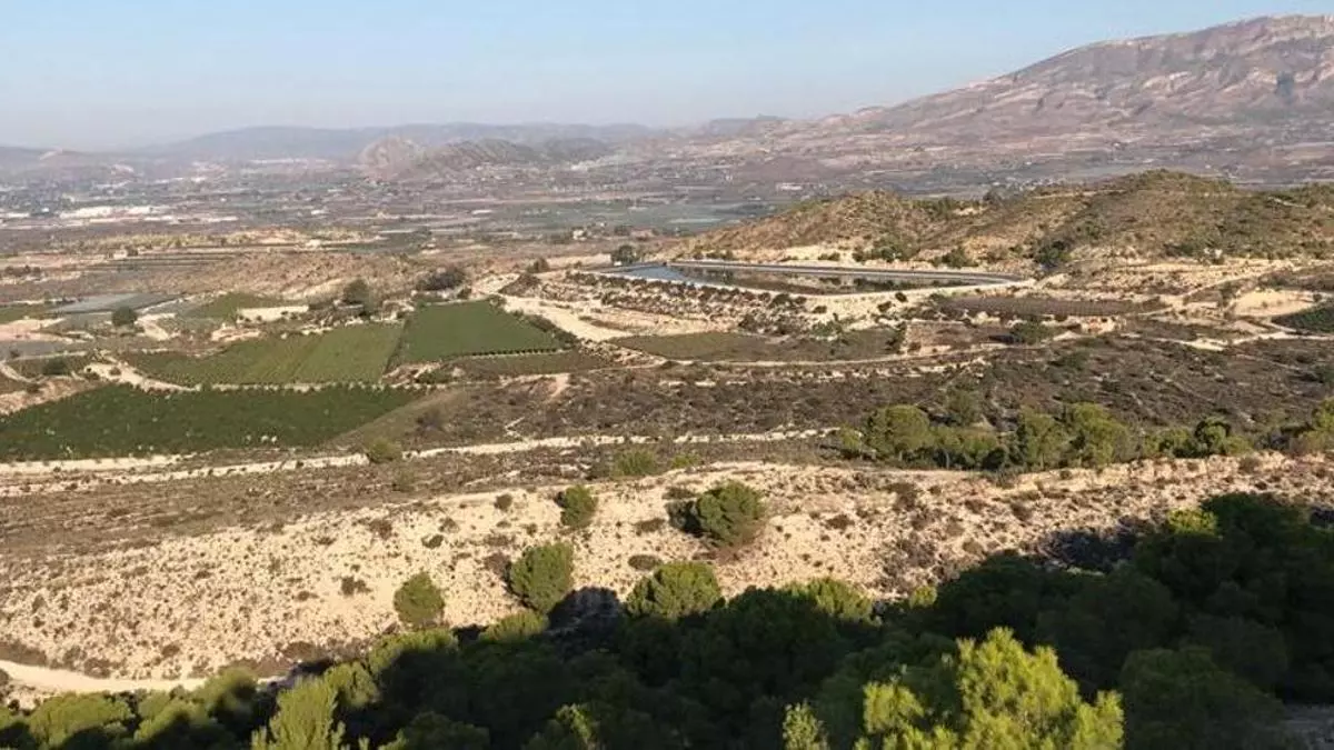 El impacto acumulativo de diez plantas solares entre Monforte, Agost y Novelda