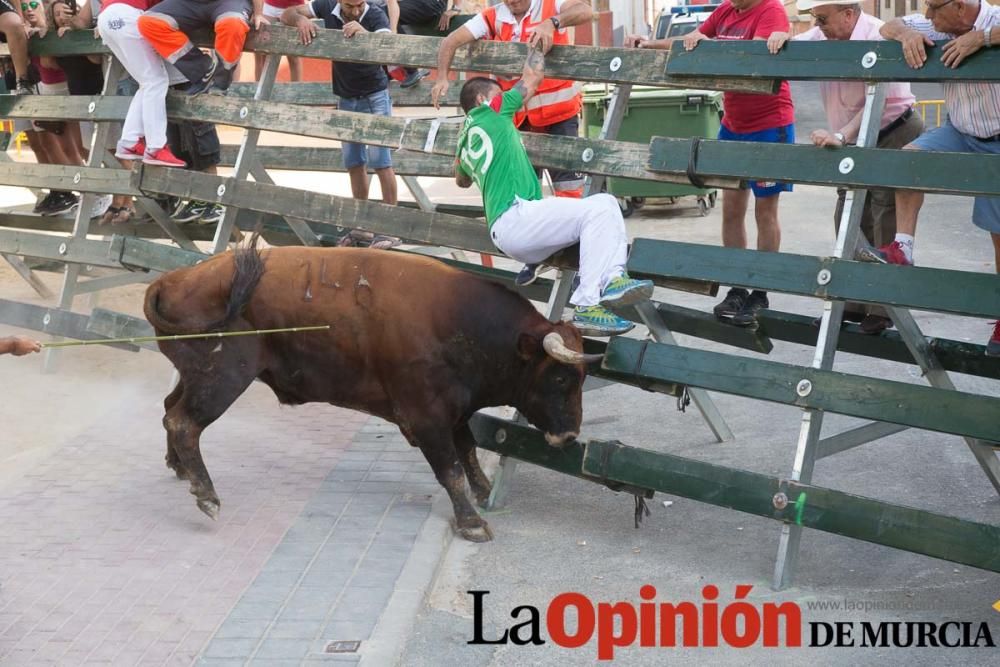 Tercer encierro en Calasparra