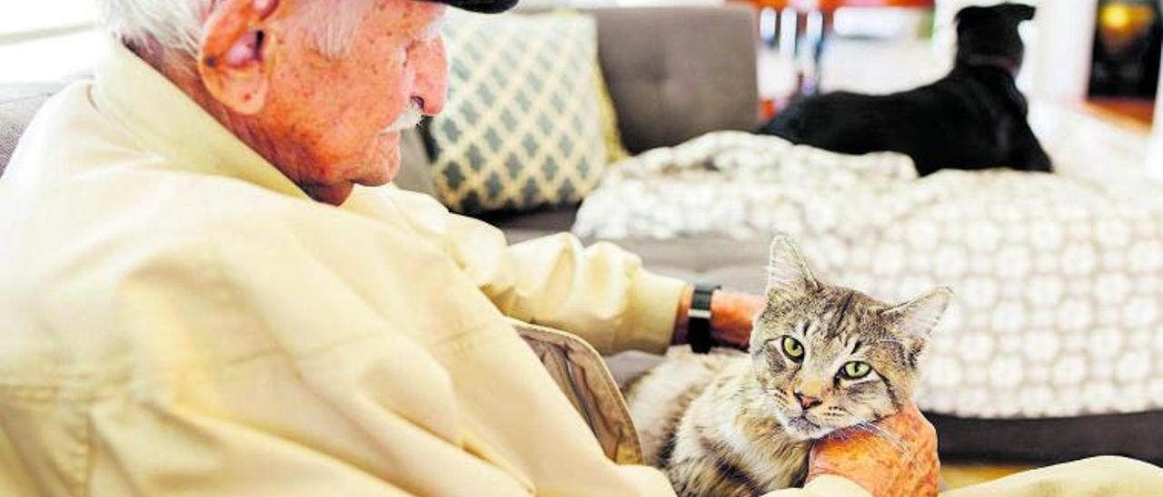 Un hombre con
 sus mascotas 
en casa | ‘activos’