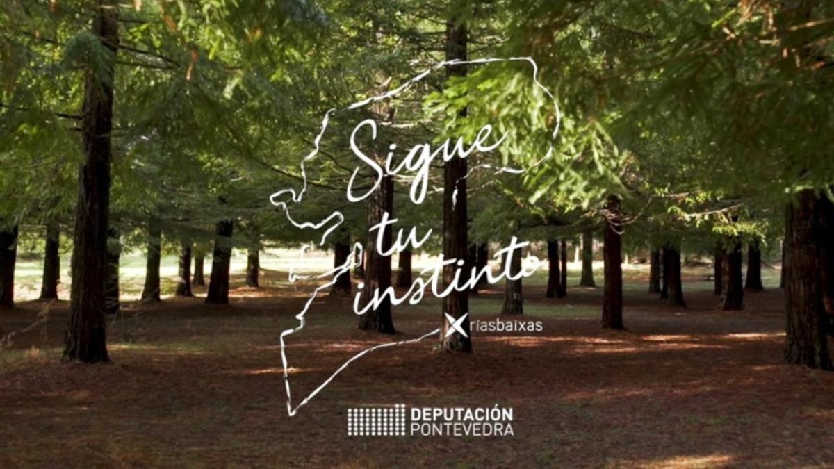 Una imagen del vídeo premiado