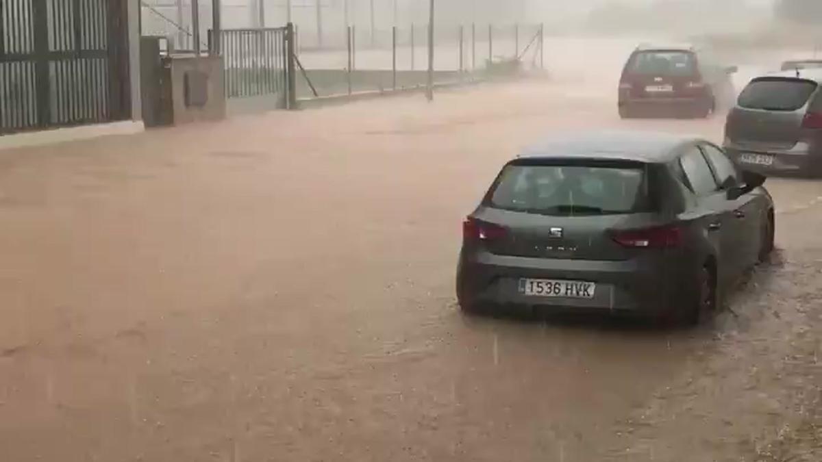 Rescatades dues persones i dos gossos atrapats en un vehicle a les Terres de l’Ebre