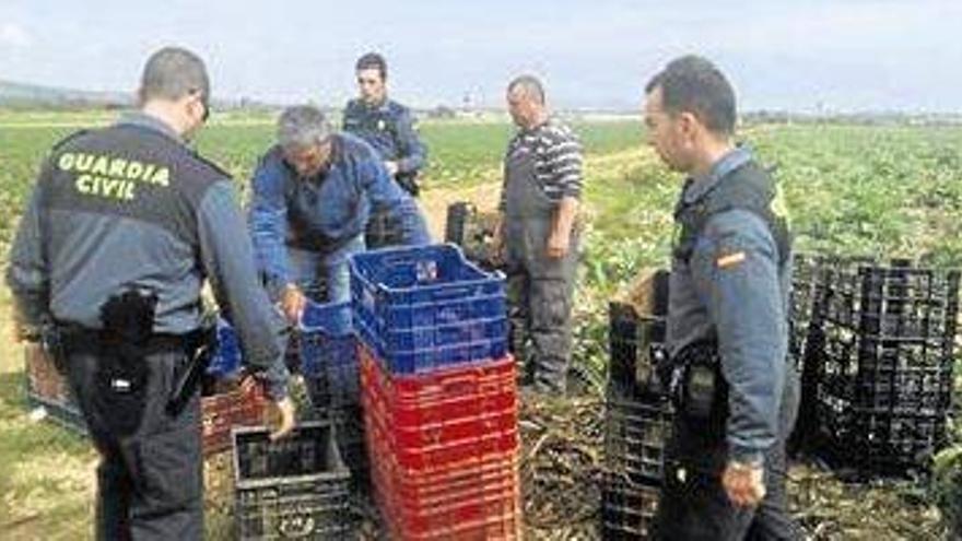 Primer ‘cazado’ por las patrullas de Benicarló