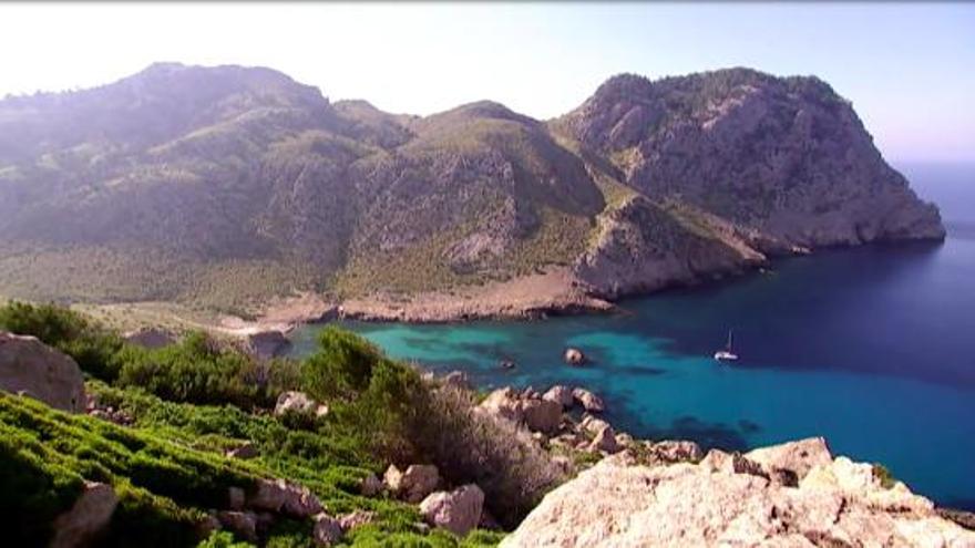 Auch die vielfältige Landschaft macht Mallorca so beliebt.