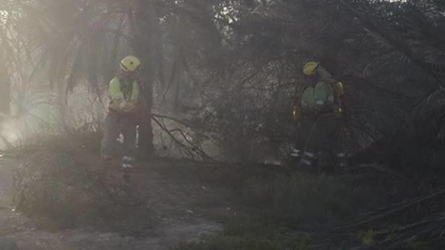 Los bomberos durante la extinción, retirando ramas para evitar que el fuego se propagase.