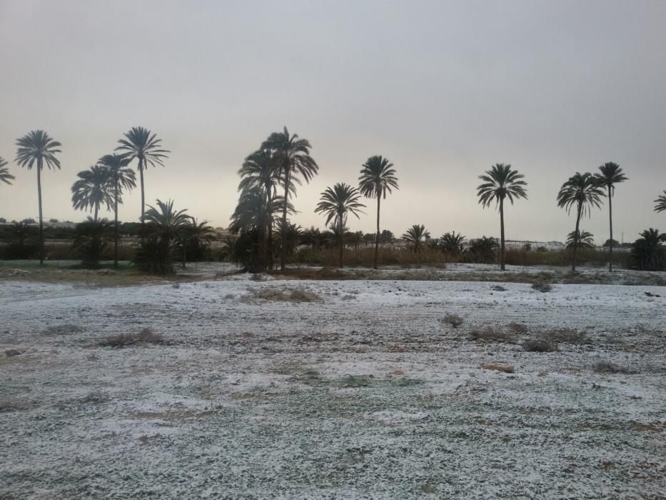 Una fina capa de nieve ha cubierto las playas, los techos de los vehículos, zonas verdes y tejados de Torrevieja, Orihuela Costa y Pilar de la Horadada