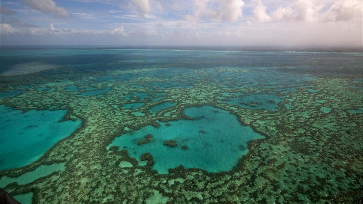 Gran barrera de coral, en Australia.