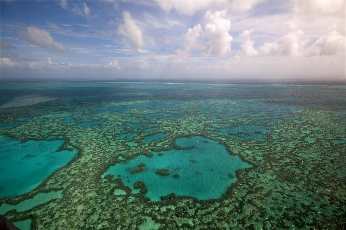 Gran barrera de coral, en Australia.